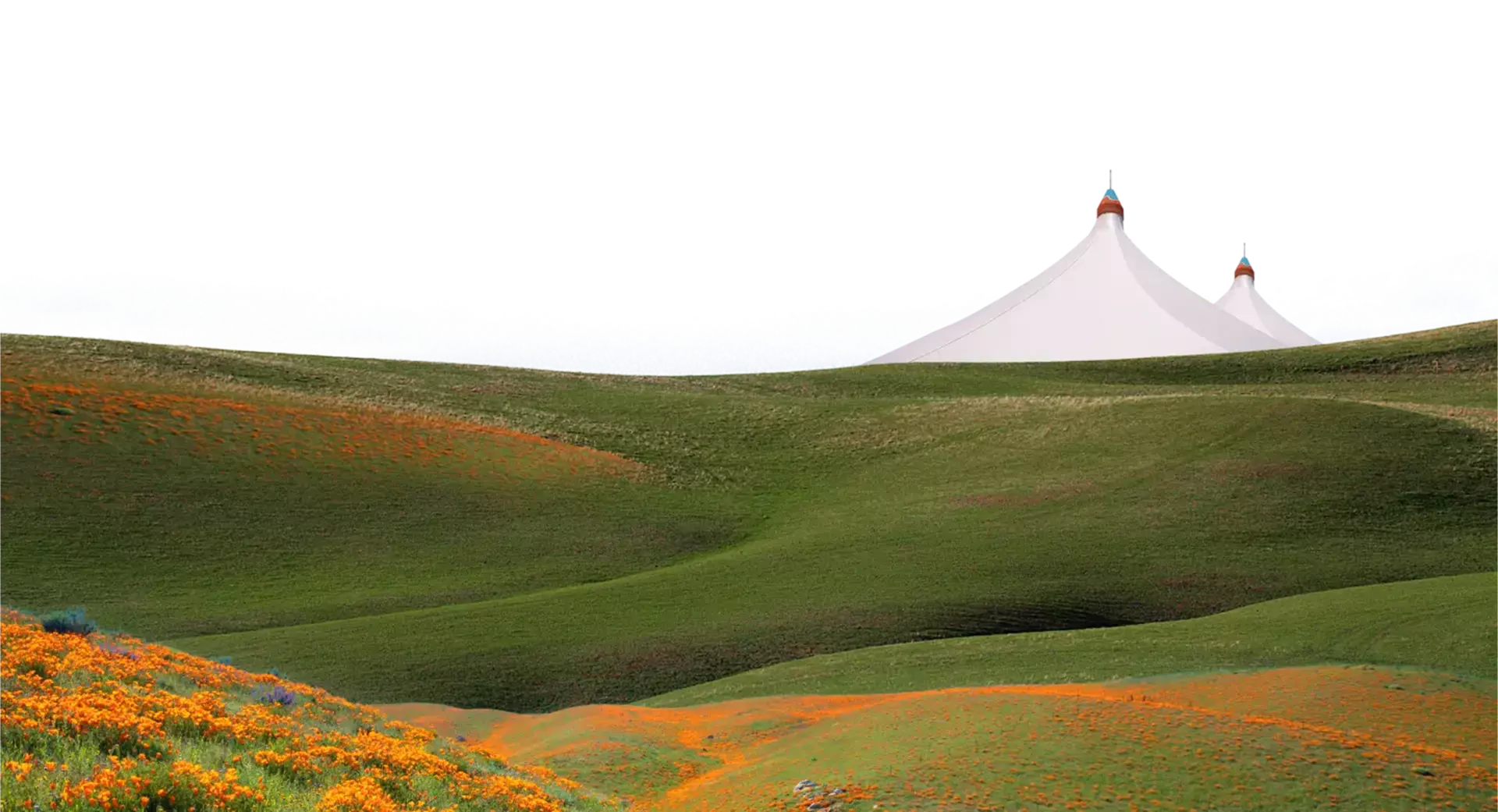 An image which looks like window xp's default screen